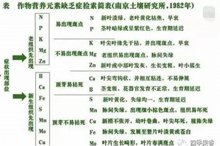 芹菜施什么肥好