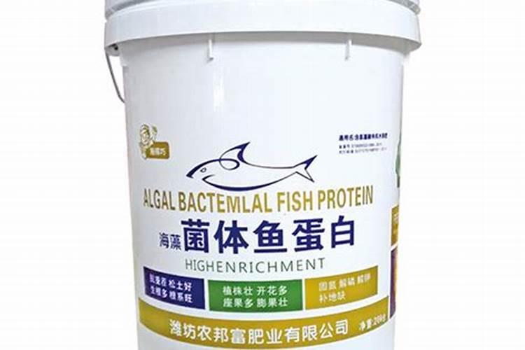 藜麦种植方法和条件