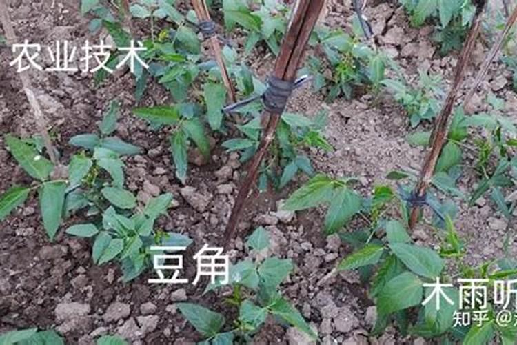 青岛中科改良宝贝生物科技有限公司怎么样？