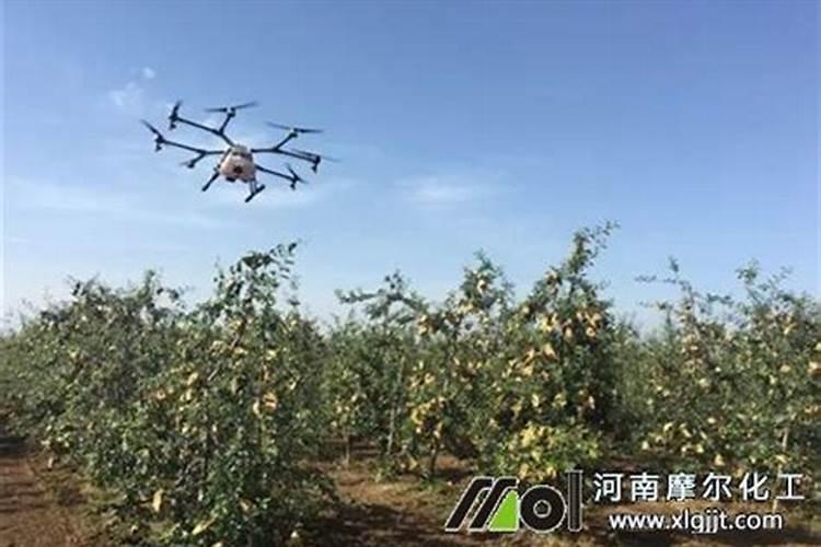 有机肥是什么肥料