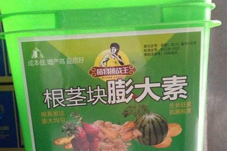 养栀子花的肥料 栀子花最好的肥料是什么怎么施