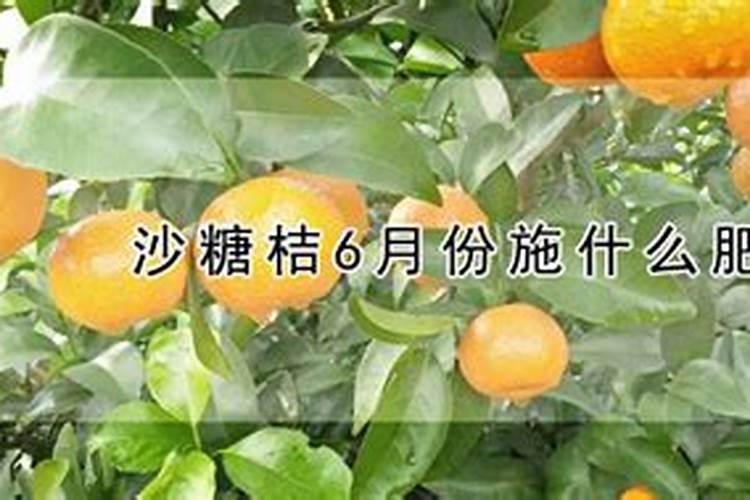 黄腐酸钾能长期使用吗