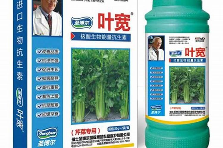 芹菜施什么肥长得好
