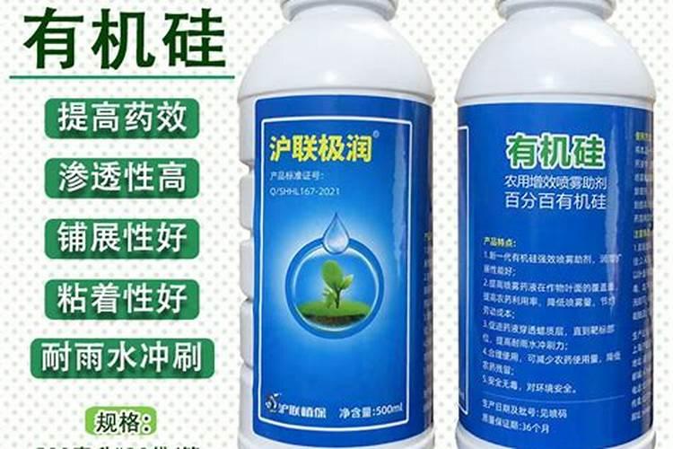 月季花怎么施肥,月季花施什么肥好？