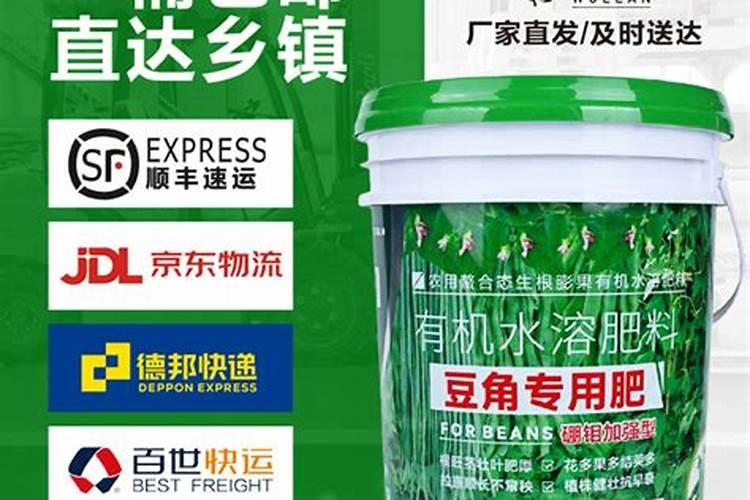 金银花叶子发黄怎么办