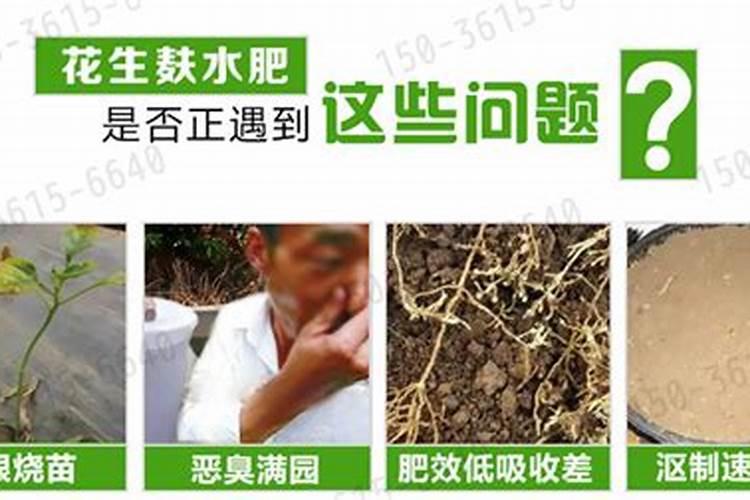 如何用花生麸沤肥