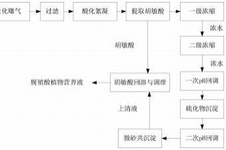 多肉用什么肥料施肥最好