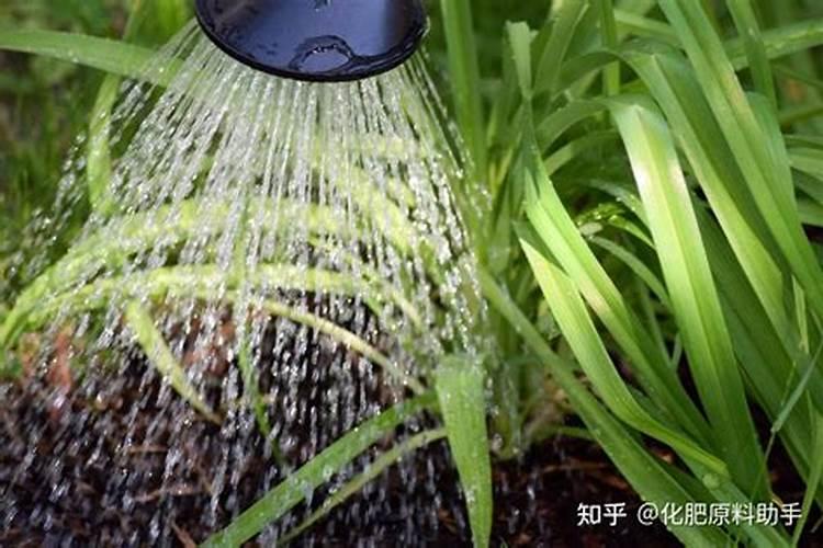 自制水溶肥配方比例