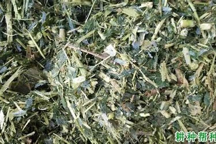 堆肥法的优点和缺点和可行性