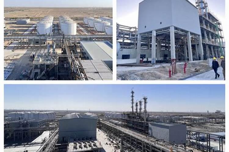 新疆双龙腐植酸有限公司的产品与服务