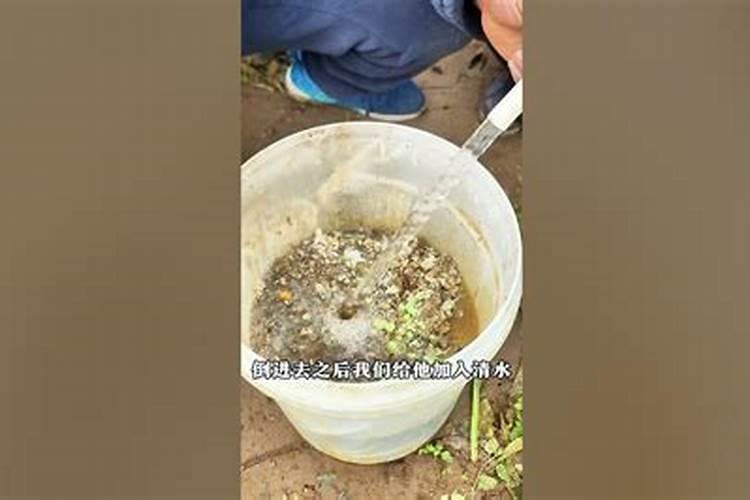 小麦锈病用什么农药