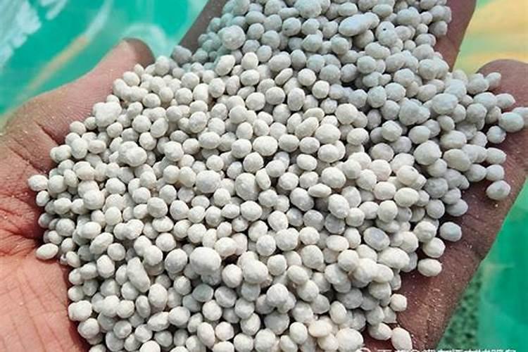 猪粪能直接给果树施肥吗有什么坏处