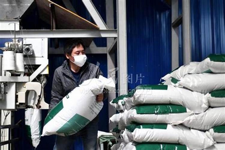 催花选用什么样的肥料最为合适