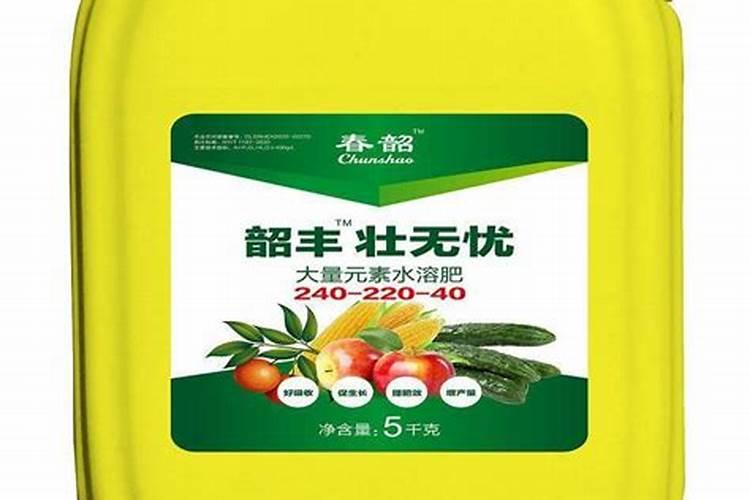 百合花叶子从下面开始发黄枯萎是什么原因