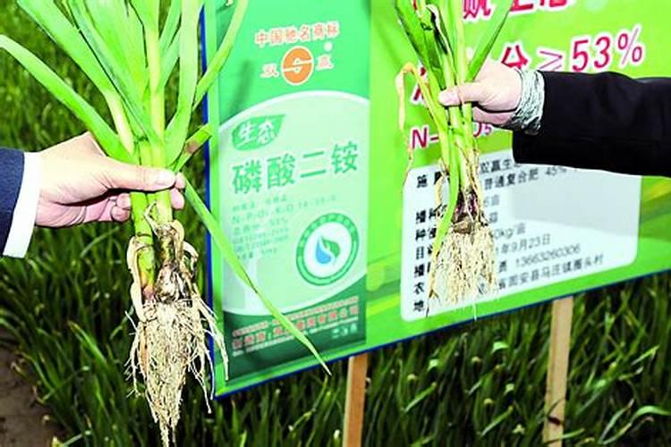 草木灰干什么用的