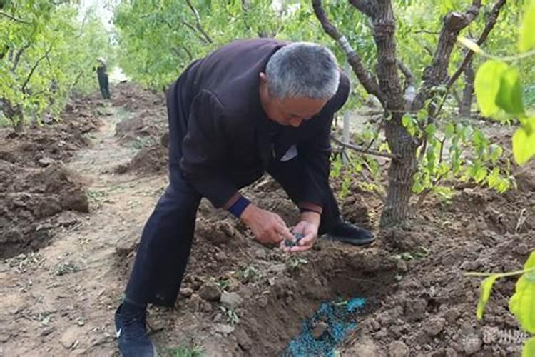 高浓度硫酸钾复合肥适合种哪些作物