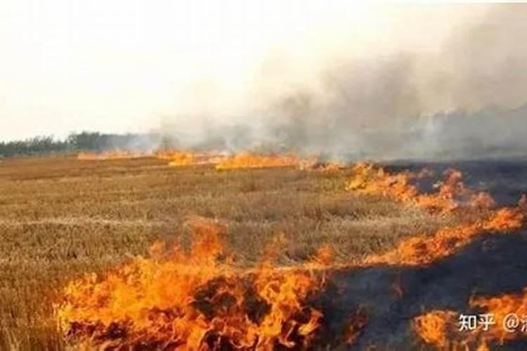 莴笋可不可以喷芸苔素？