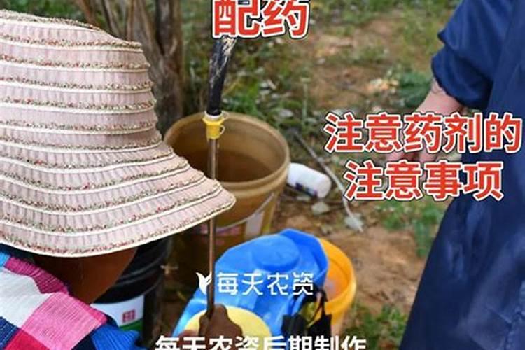 膨大素和叶面肥有区别吗？怎样才能更快的让西瓜膨大起来？