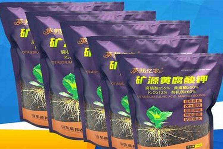 磷化工上涨的趋势逻辑