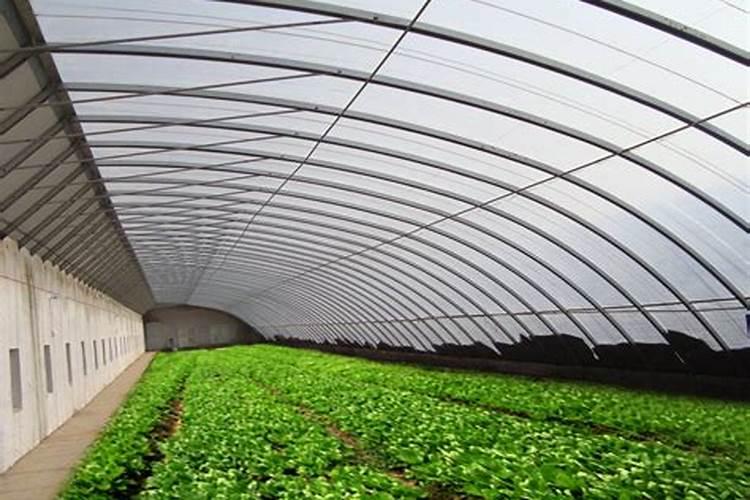 氨基酸叶面肥最好品牌