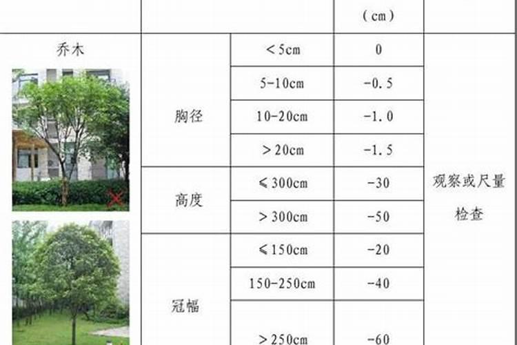 做绿化一般多少钱一平方不含人工