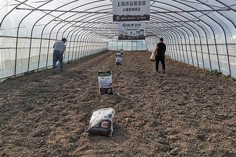 大蒜出苗后用什么肥料追肥