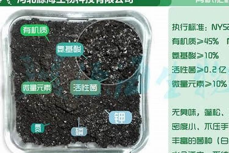 柑橘采果肥也称“月子肥”,施足“月子肥”,果树好过冬!