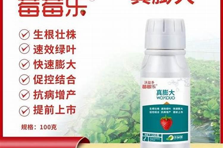 谷乐丰水溶肥价格