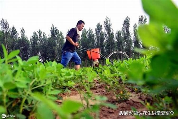 秋肥到底该如何选？高氮、平衡、高钾各有什么差别？