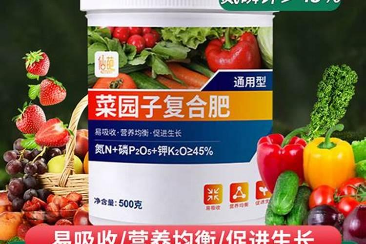 大丽花施什么肥最好