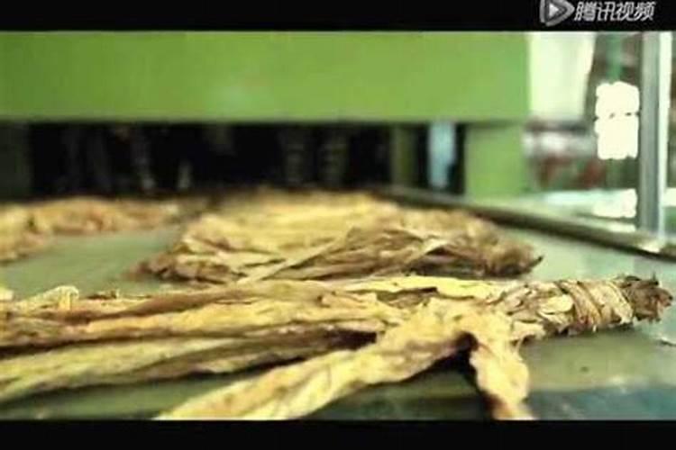 烤烟一次冲施多少肥料？烤烟用叶面肥比较好？烤烟喷施昆仑风