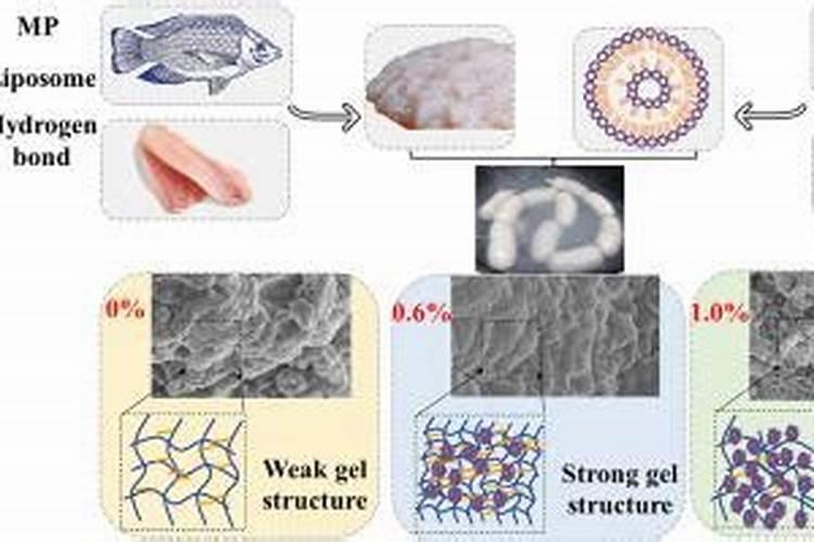 果树缺钙用什么肥料最适合(果树需补什么钙肥最好)