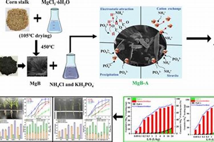 李子树根可不可以施过磷酸钙加碳铵