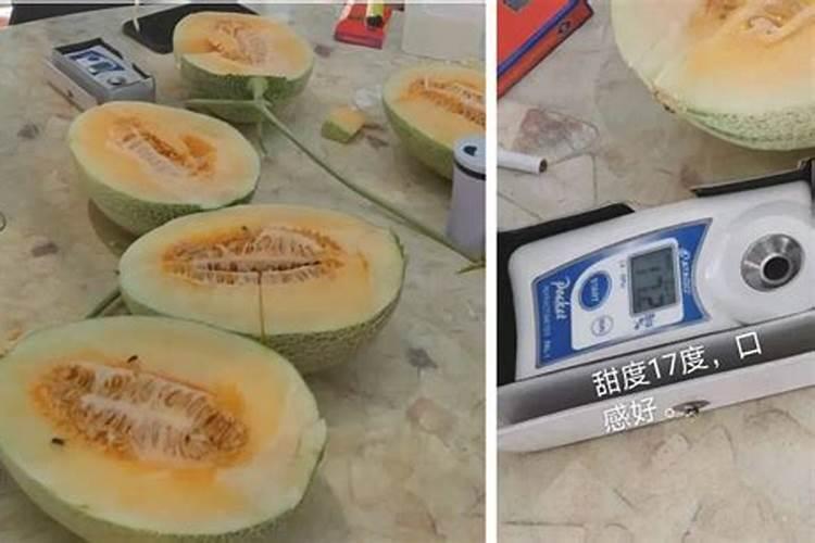 水稻放水的最佳时期,趴秧了怎么办