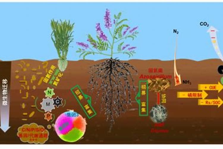大量元素叶面肥能和微量元素叶面肥混用么