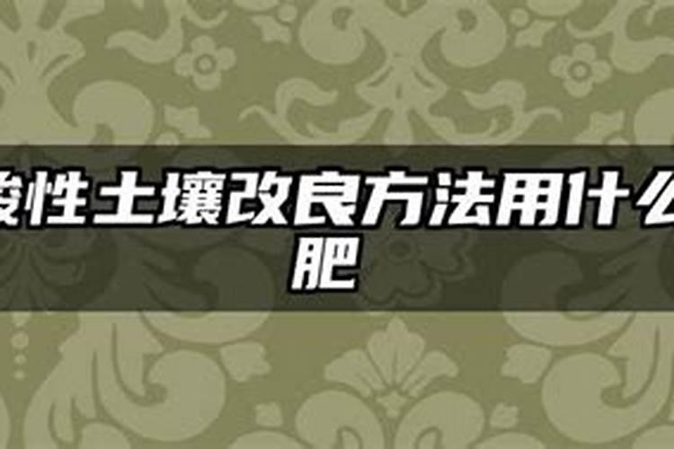 小颗粒海藻面膜功效