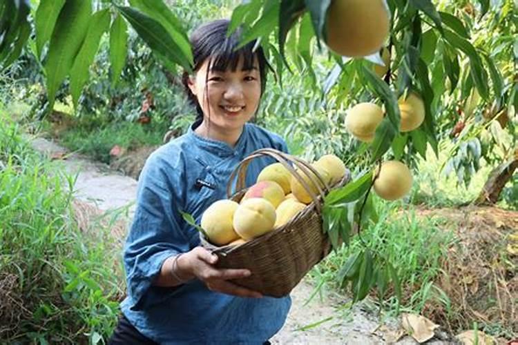 百香果施什么肥才能结果多？