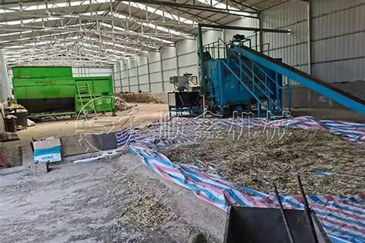 养兰花用什么肥好  兰花肥料有哪些