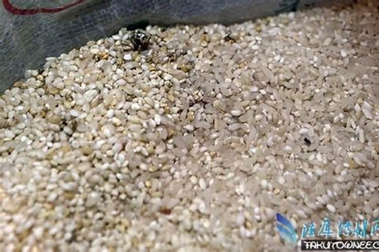 大米怎么做花肥