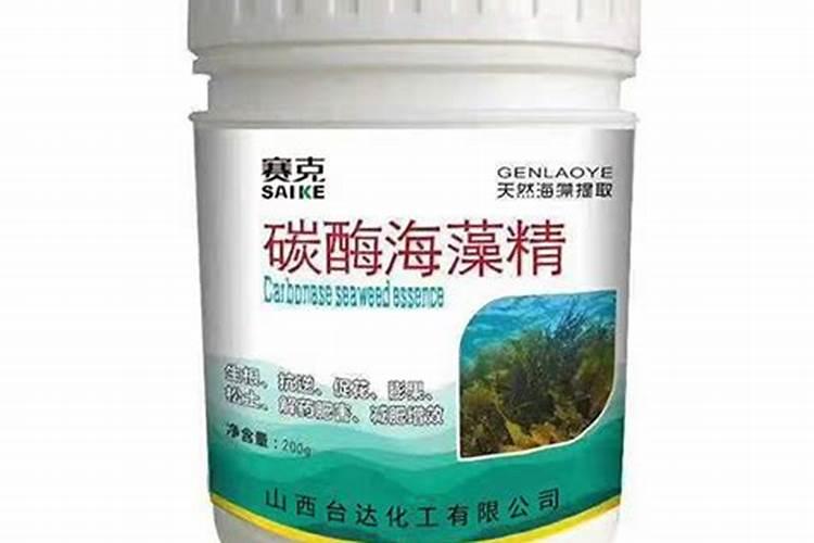 种红薯需要肥料吗