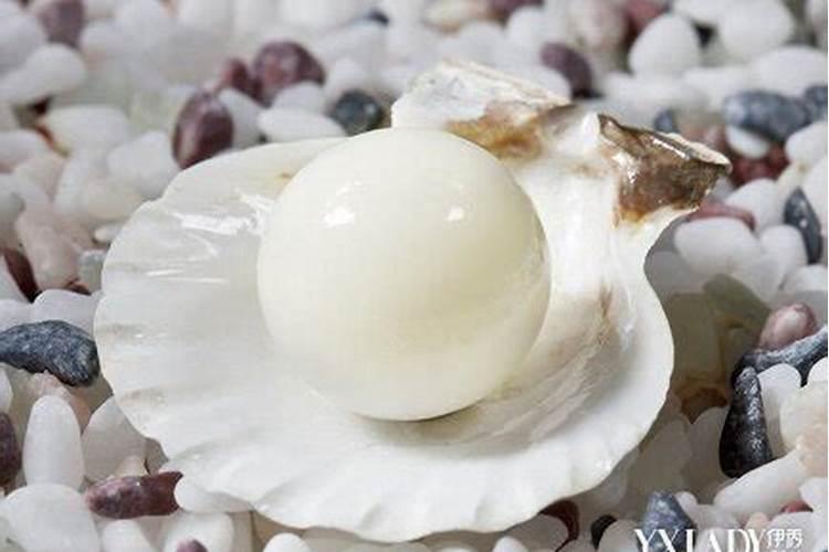 家庭养花用什么做氮磷钾肥料？