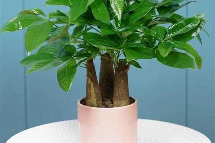 春天不仅要喝水 皮肤也要补补水