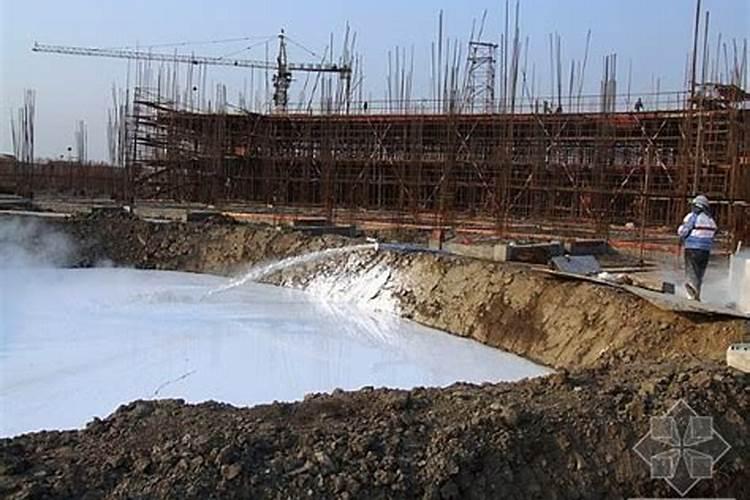 哪些水果可以在阳台