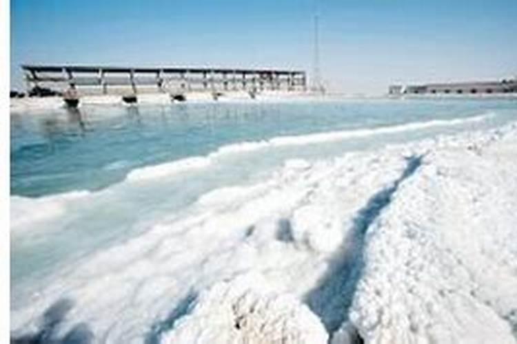 植物叶片变黄是缺什么元素