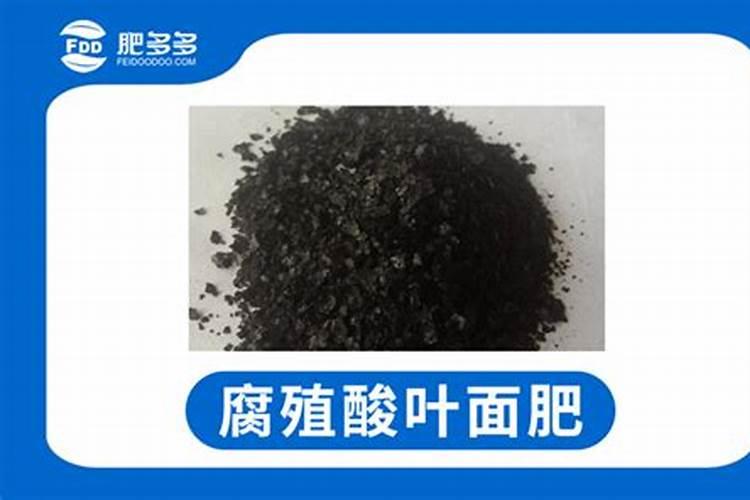 茉莉花最简单施肥方法