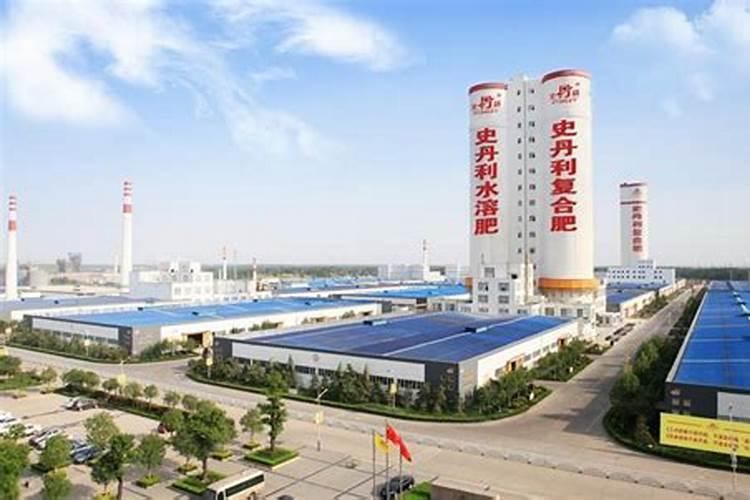 多肉植物能浇鱼蛋白肥料吗？