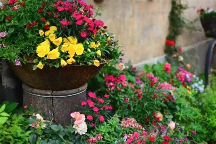 玉米大喇叭口七 使用飞机。喷施尿素一亩地使用多少？