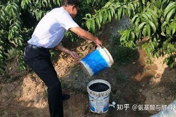 莆田鞋质量最好的厂家