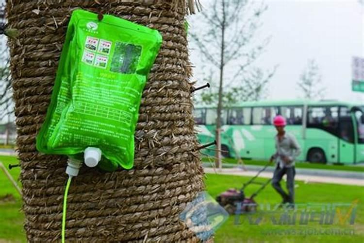 硼肥正确使用方法