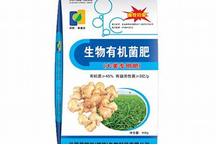 大姜种植用什么肥就选生物有机菌肥大姜有机肥